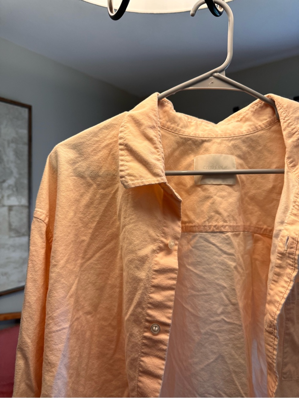 Citizens of Humanity Blush Peach Top